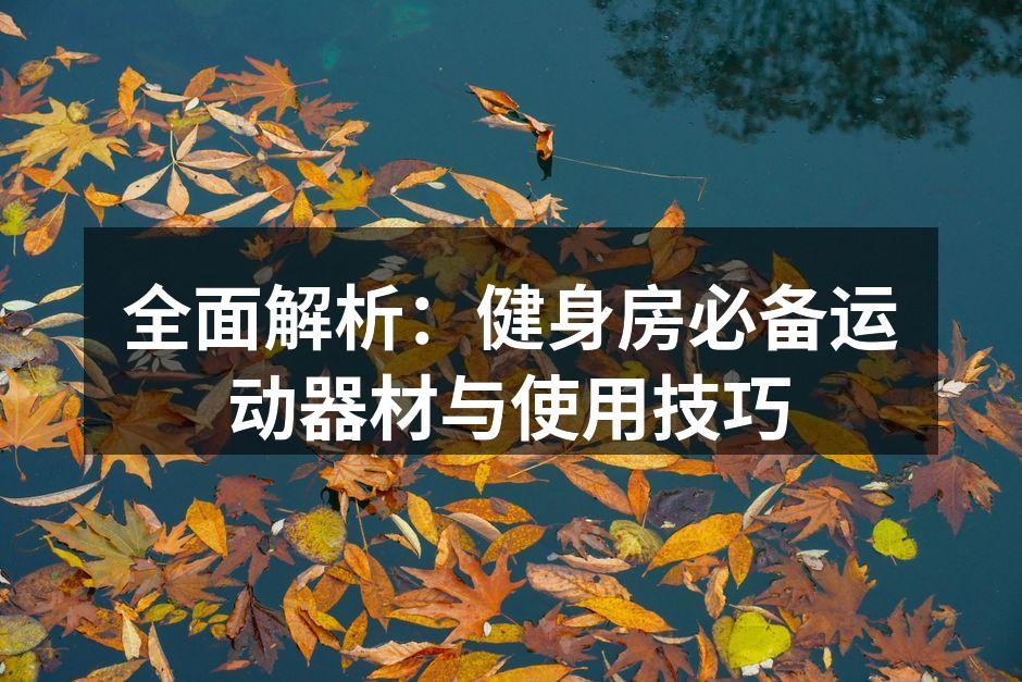 全面解析：健身房必备运动器材与使用技巧